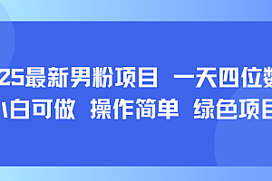 2025最新男粉项目 一天四位数 小白可做 操作简单 绿色项目