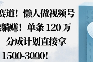 蓝海赛道,懒人做视频号也能躺挣,单条120W赞,分成计划直接拿1.5k,不用拍不用剪