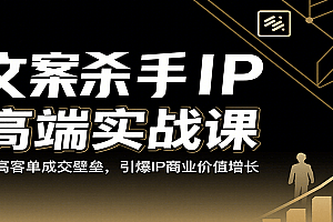 文案杀手IP高端实战课:破高客单成交壁垒,引爆IP商业价值增长
