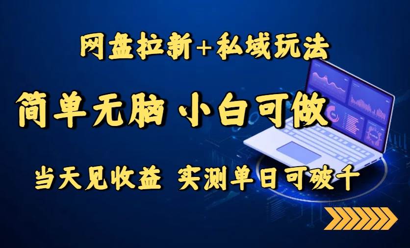（15744期）网盘拉新+私域玩法，简单无脑，小白可做，当天见收益，实测单日可破千