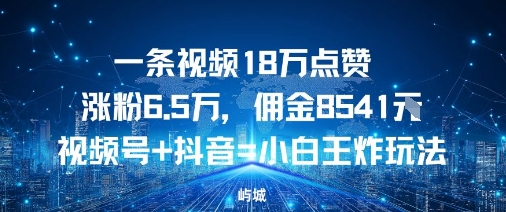 一条视频18W点赞涨粉6.5W，佣金8541视频号+抖音=小白王炸玩法