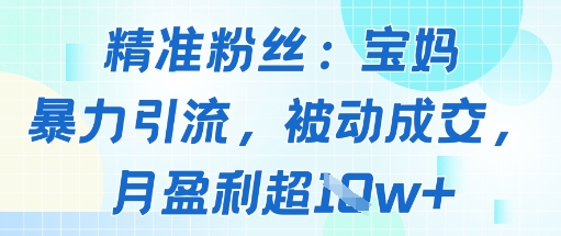 精准粉丝：宝妈暴力引流方法，被动成交，月盈利超1w+