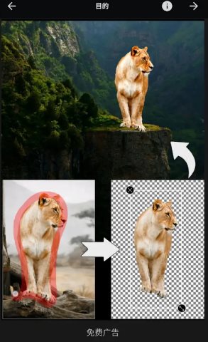 Picsart美易 v29.2.2高级版