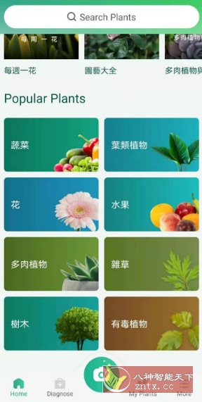 PictureThis 植物识别v5.23.0专业版