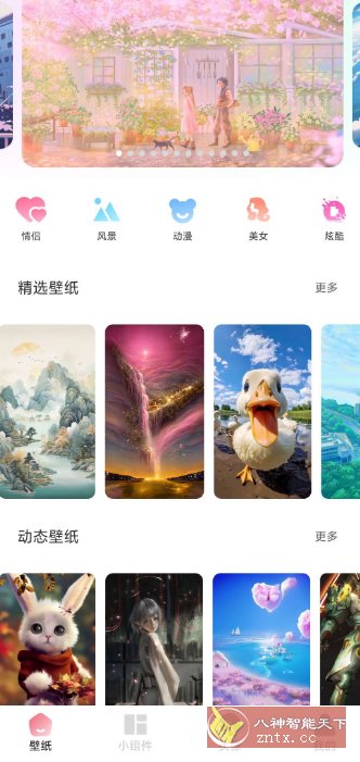 91熊猫桌面主题v1.0.6高级版