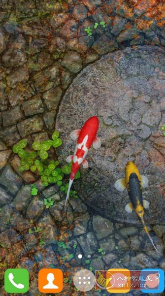 Water Garden Live Wallpaper 锦鲤3D动态壁纸2.05专业版